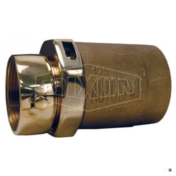The Right Connection Clapper Pin Lug Snoot, 2-1/2 x 3 in Nominal, FNST x FNPT End Style, Cast Brass,